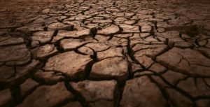 Italian Government Wants to Declare Drought Emergency