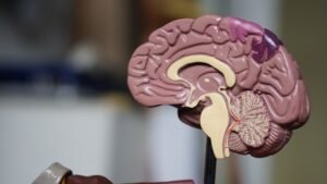 China Reports Step in Brain Implant Race Shortly After Musk